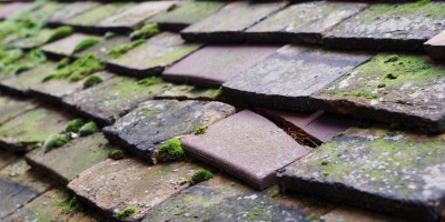 Abbots Leigh roof repair costs